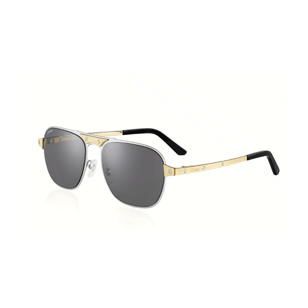 Buy Santos de Cartier, Sunglasses | Krewsa South Africa