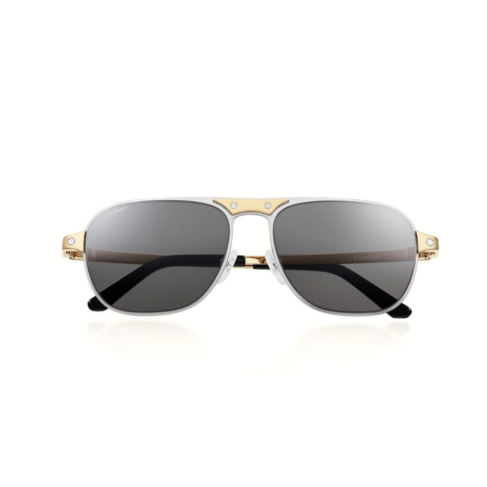 Buy Santos de Cartier, Sunglasses | Krewsa South Africa