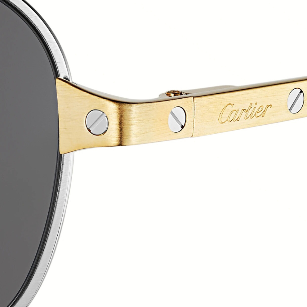 Buy Santos de Cartier, Sunglasses | Krewsa South Africa