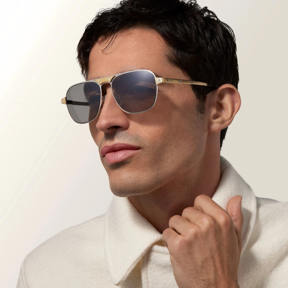 Buy Santos de Cartier, Sunglasses | Krewsa South Africa