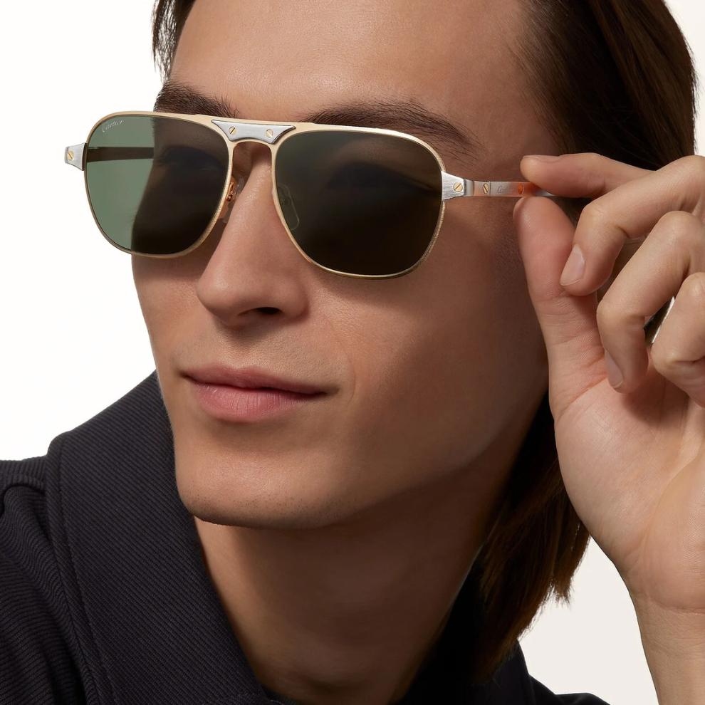 Buy Santos de Cartier, Sunglasses | Krewsa South Africa