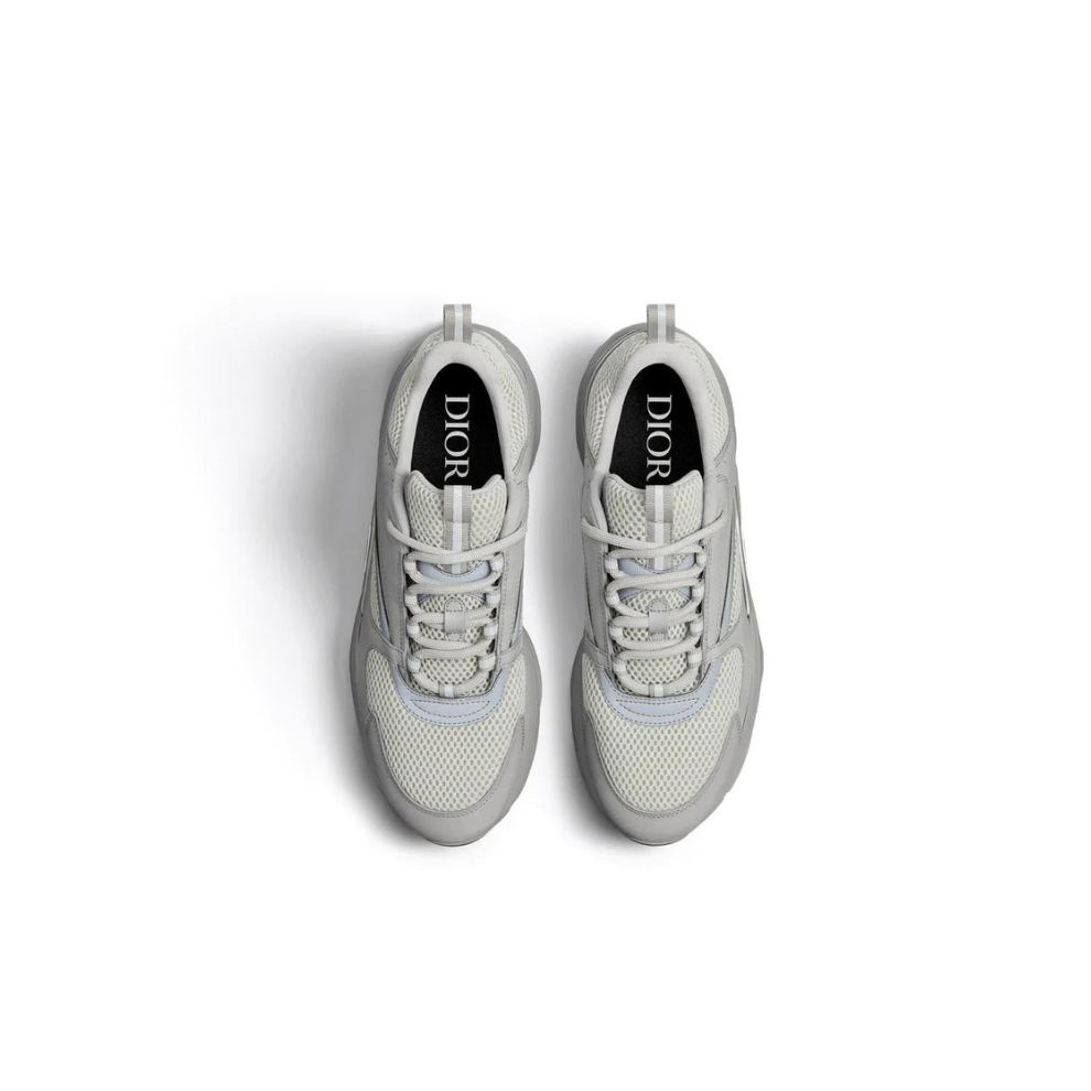 Buy DIOR B22 GREY CALFSKIN TRAINER | Krewsa South Africa